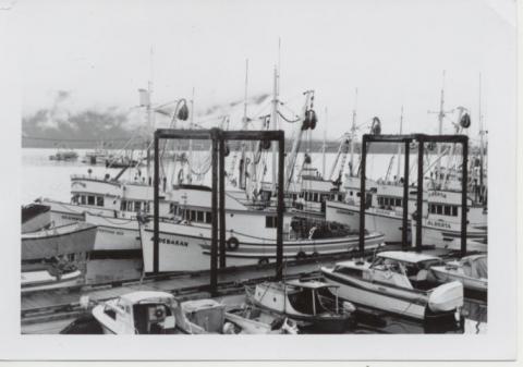 Hoonah Seine Boats at Harbor