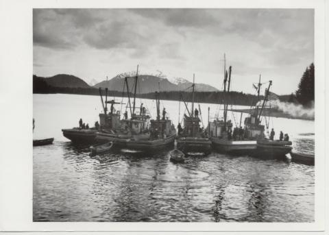 Hoonah Seine Boats Tied Together