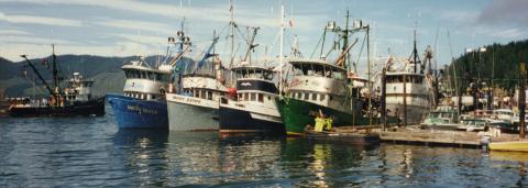 Hoonah Fishing Boats Inian Queen, Mary Joanne, Seagull and Donna Ann