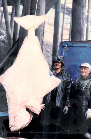 Ike Koenig and Byron Rudolph with a Large Halibut
