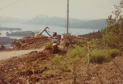 Skidder and Log Truck on Mountainside