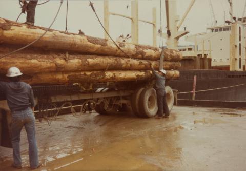 Offloading Log Truck