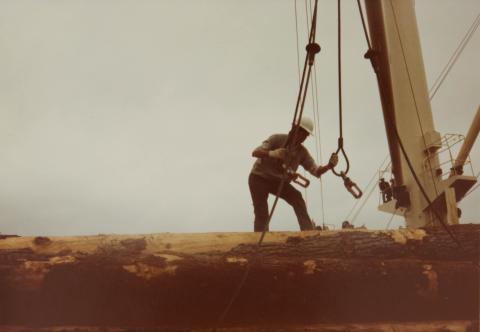 Logger with Tie Down Cables