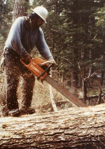 Hoonah Logger Working a Chainsaw