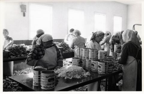 Hoonah Crab Cannery Workers
