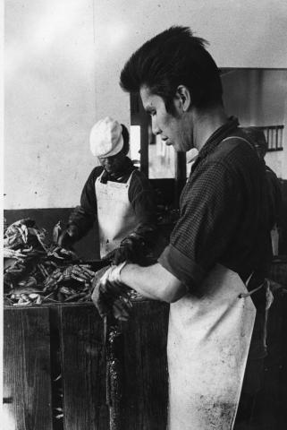 Men Working at the Hoonah Crab Cannery